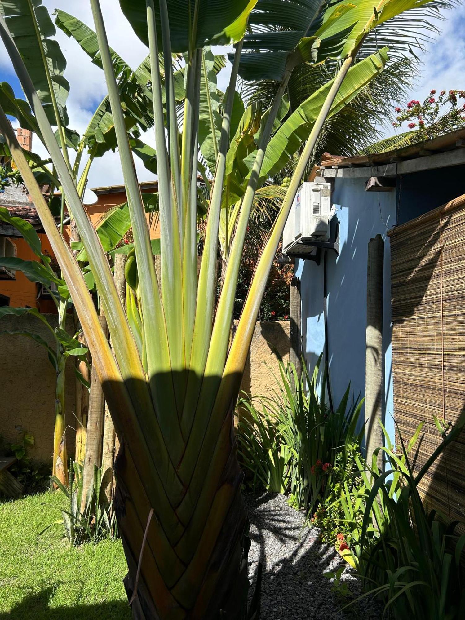 Casa Aratu - Caraiva Hotel Luaran gambar
